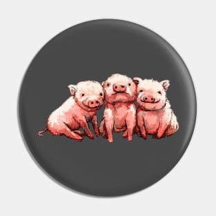 Three Cute Pig. Pin