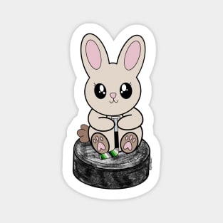 Puck Bunny (Aromantic / Aro) Magnet