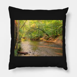 St Marys River Water Trail Pillow