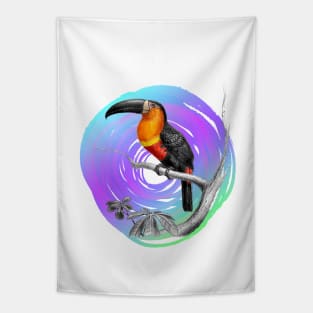 It's summer time: Toucan taxonomy design Tapestry