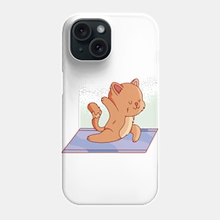 cat-animal-doing-yoga Phone Case