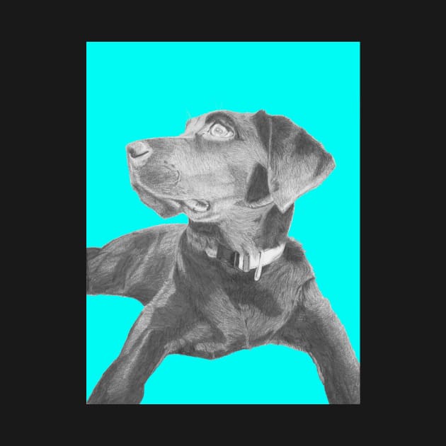 Black Labrador Retriever in Blue by DavidASmith