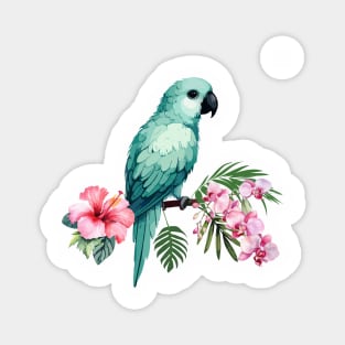 Turquoise Conure Magnet