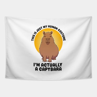 This is just my human costume, I’m actually a Capybara Tapestry