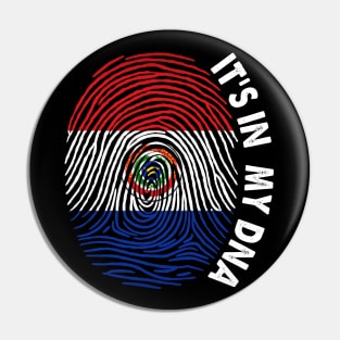 Paraguay Pin