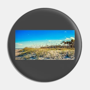 Amelia Island Dunes Pin