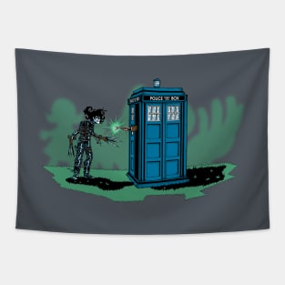 Edward and the Doctor... Tapestry