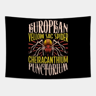 European Yellow Sac Spider Tapestry