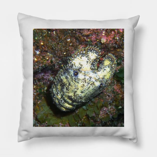 Sculptured Slipper Lobster on Coral Reef Pillow by Scubagirlamy