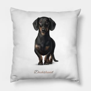 Dachshund Pillow