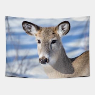 Young Deer with amazing eyes. Tapestry