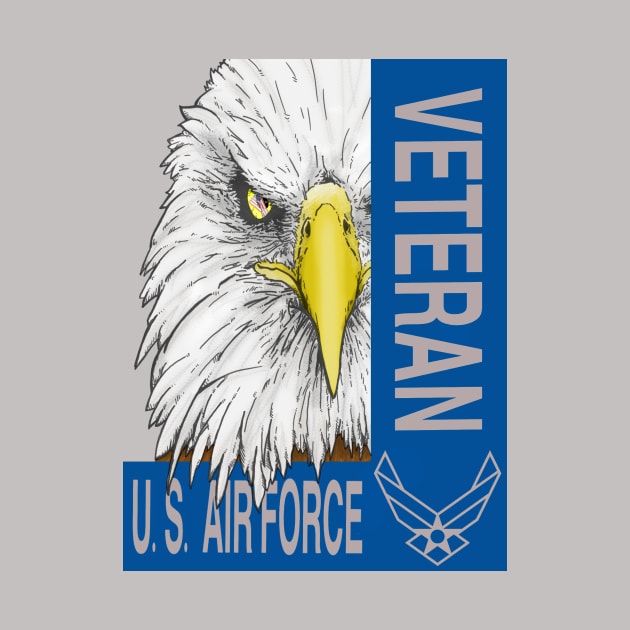 Veteran - US Air Force by JeffWittyArt