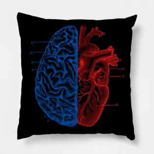 Heart and Brain Pillow
