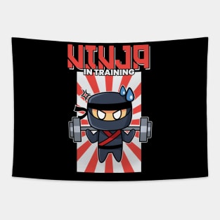 Karate Gifts for Boys Ninja in Training Kids Tapestry