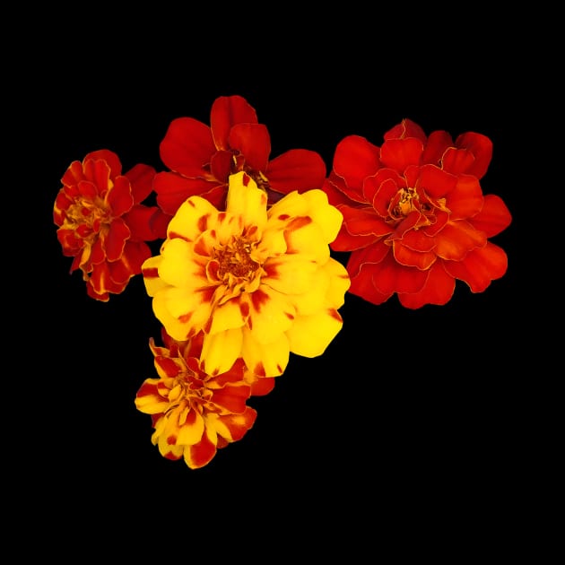 Marigolds - Marigold Heart by SusanSavad