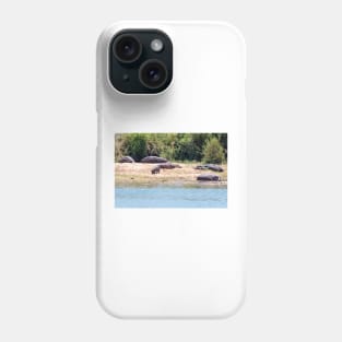 Hippo Family in Kruger National Park - South Africa Phone Case