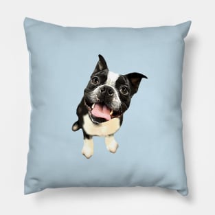 Boston Terrier Cute Dog Pillow