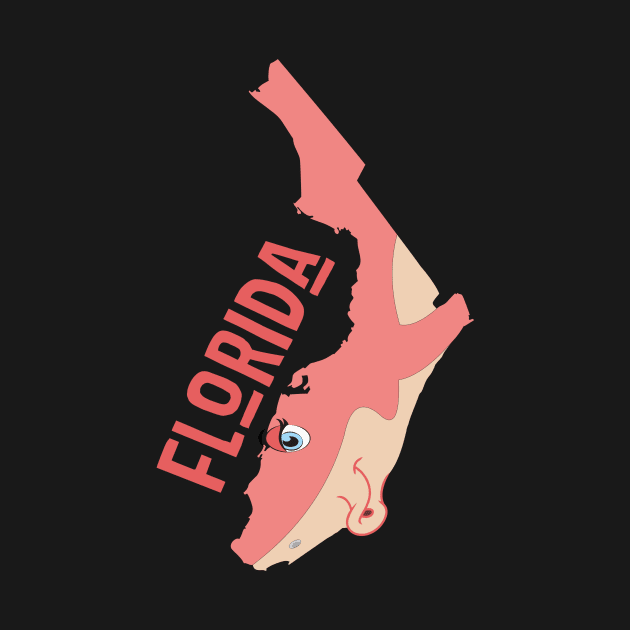 Florida (a funny map) by percivalrussell