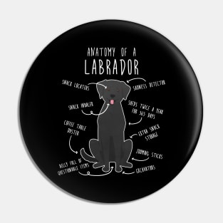 Black Labrador Retriever Dog Anatomy Pin