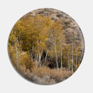 Autumn Colors in the Sierras Pin