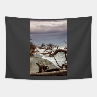 Edisto Beach South Carolina Tapestry