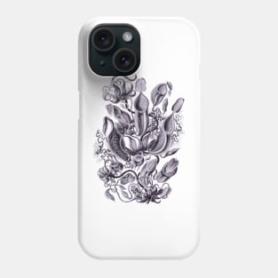 Ernst Haeckel Pitcher Plant Lavendar Phone Case