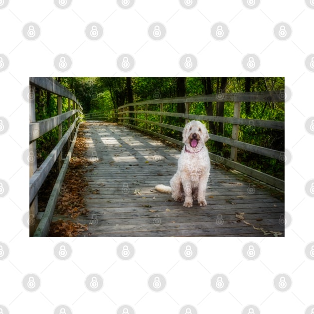 Happy Dog On The Trail 1 by Robert Alsop