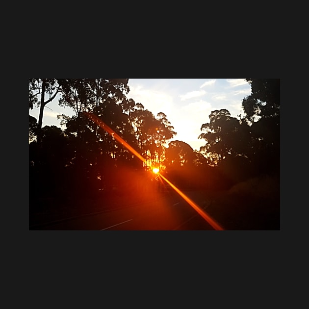 Sunset Through the Trees, Stawell by AstroRisq