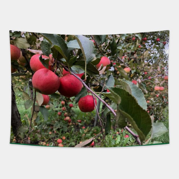 Apple Branch in the Apple Orchard Tapestry by Humerushumor