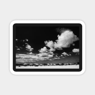 Tropical Beach in Black and White Magnet