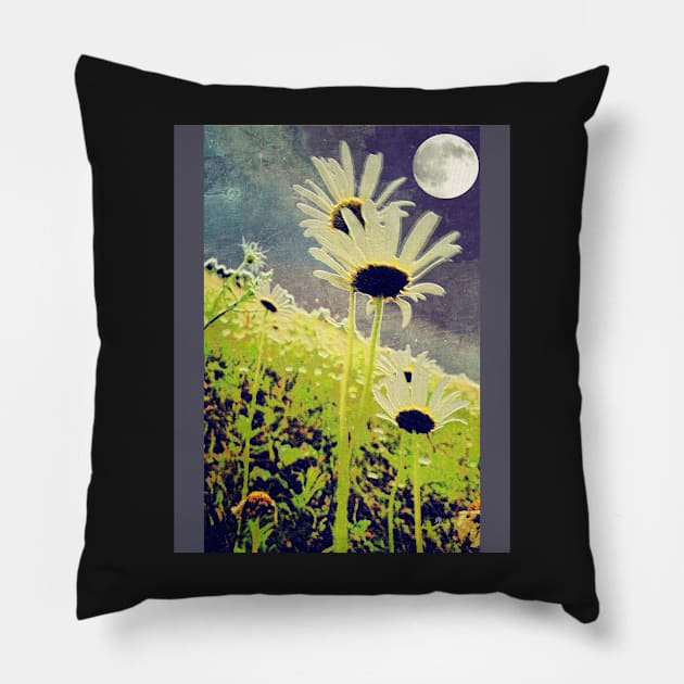 As Daisies Greet The Evening Sky Pillow by Mzzart