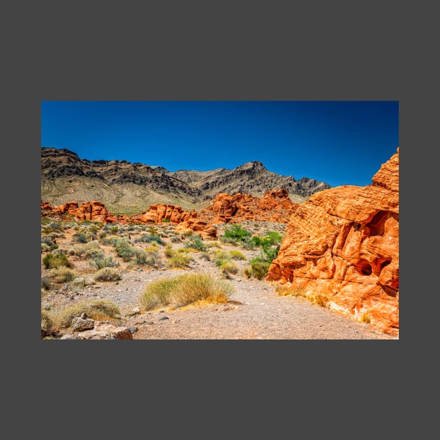 Valley of Fire State Park by Gestalt Imagery