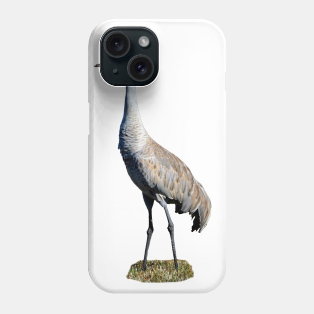 Sandhill Crane Phoot Phone Case by DeniseBruchmanPhotography