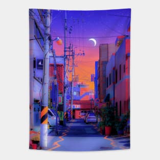 Magical street Tapestry