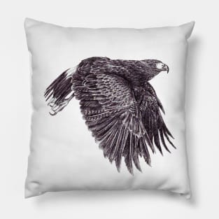 Harris’s Hawk Pillow