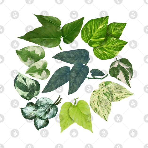 Pothos Leaves Art by Khotekmei