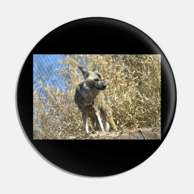 African Wild Dog Pin by MarieDarcy