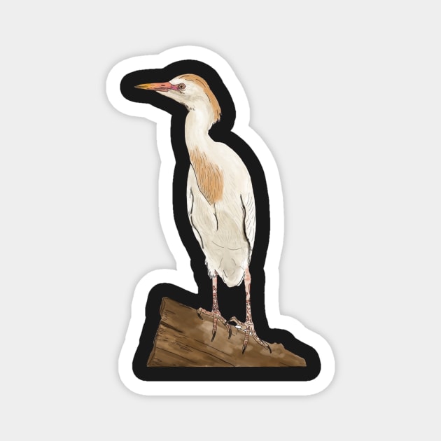 White Cattle Egret Drawing Magnet by esslev