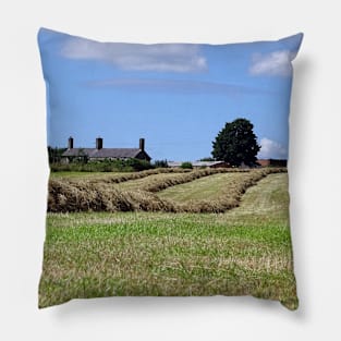 In the Hay Rows Pillow
