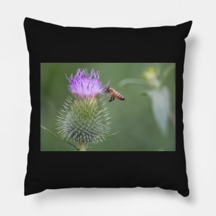 Thistle-Bee Pillow