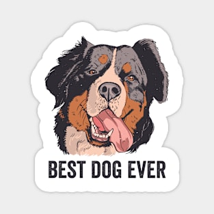 Bernese Mountain Dog Best Dog Ever Magnet