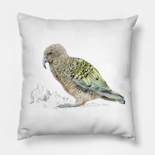 Kea, parrot of New Zealand Pillow