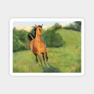 Horse Galloping in a Meadow Magnet