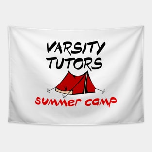 Varsity Tutors Summer Camp Tapestry