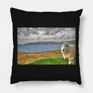 Erris Pride, Mayo Pillow