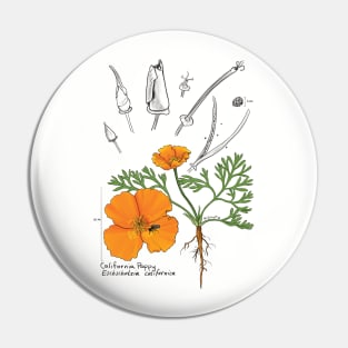 California Poppy Botanical - tan Pin