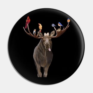 Moose Feathers Pin