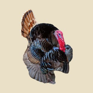 Strutting Turkey T-Shirt