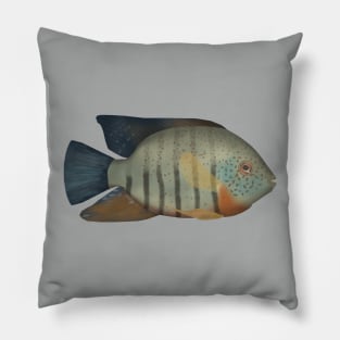 Red Tiger Severum Pillow