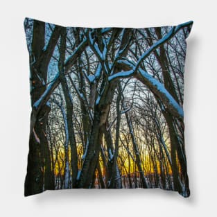 Winter landscape - frosty trees in snowy forest in the sunny morning. Tranquil winter nature in sunlight Pillow